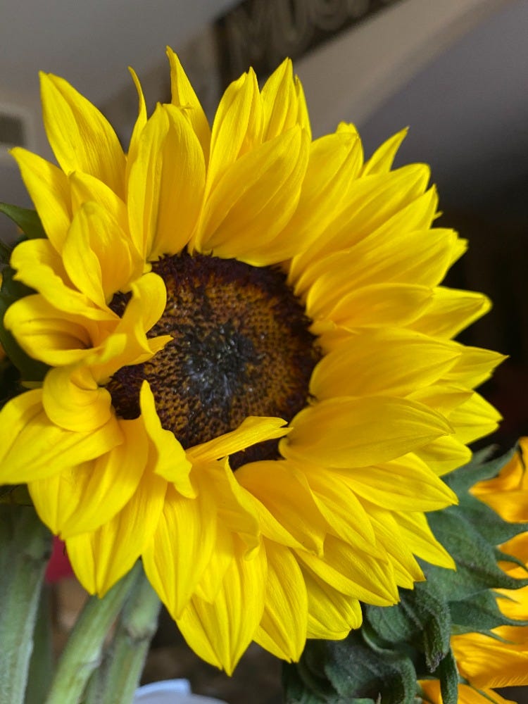 chapter-2-by-atala-galaz-i-am