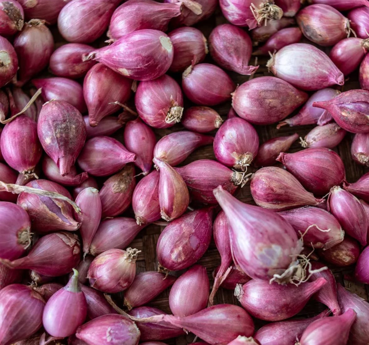 Do shallots know they're onions? - by cluedont - Word Salad