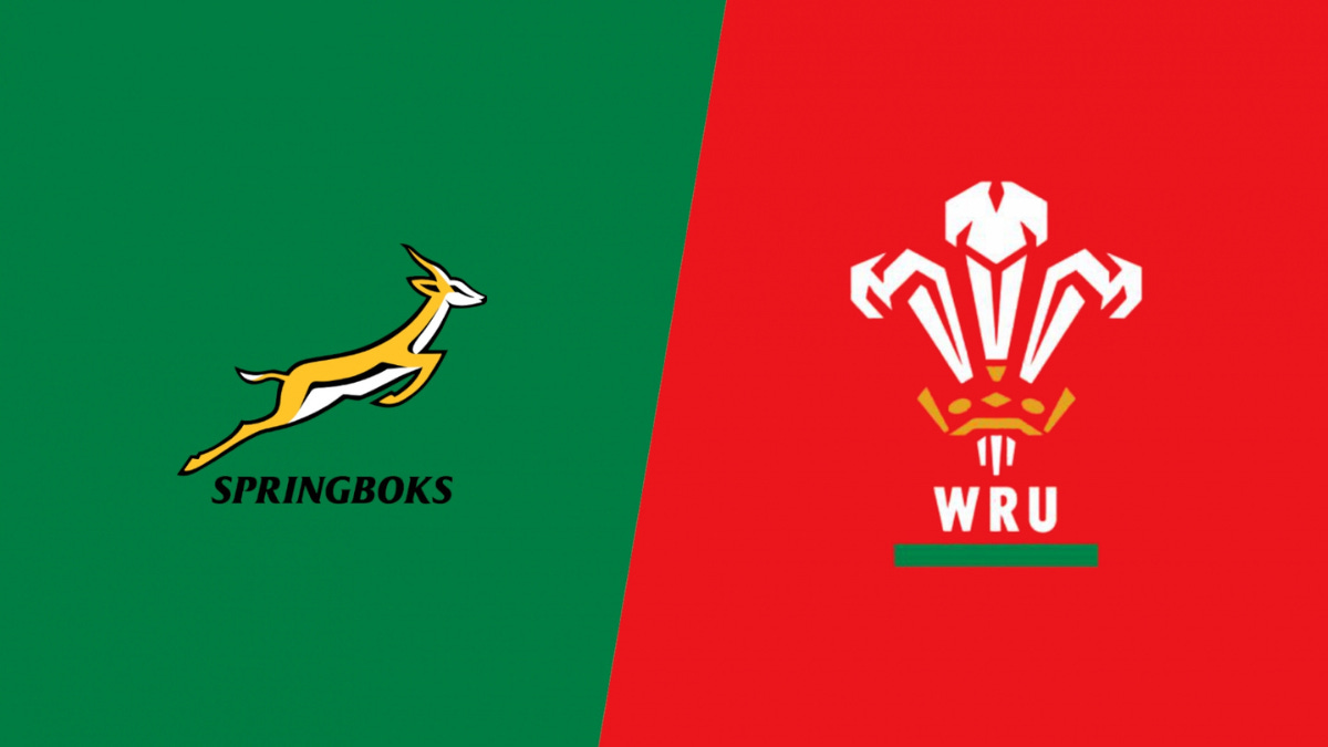 Focused on Cardiff Springboks Prepare for RWC WarmUp against Wales