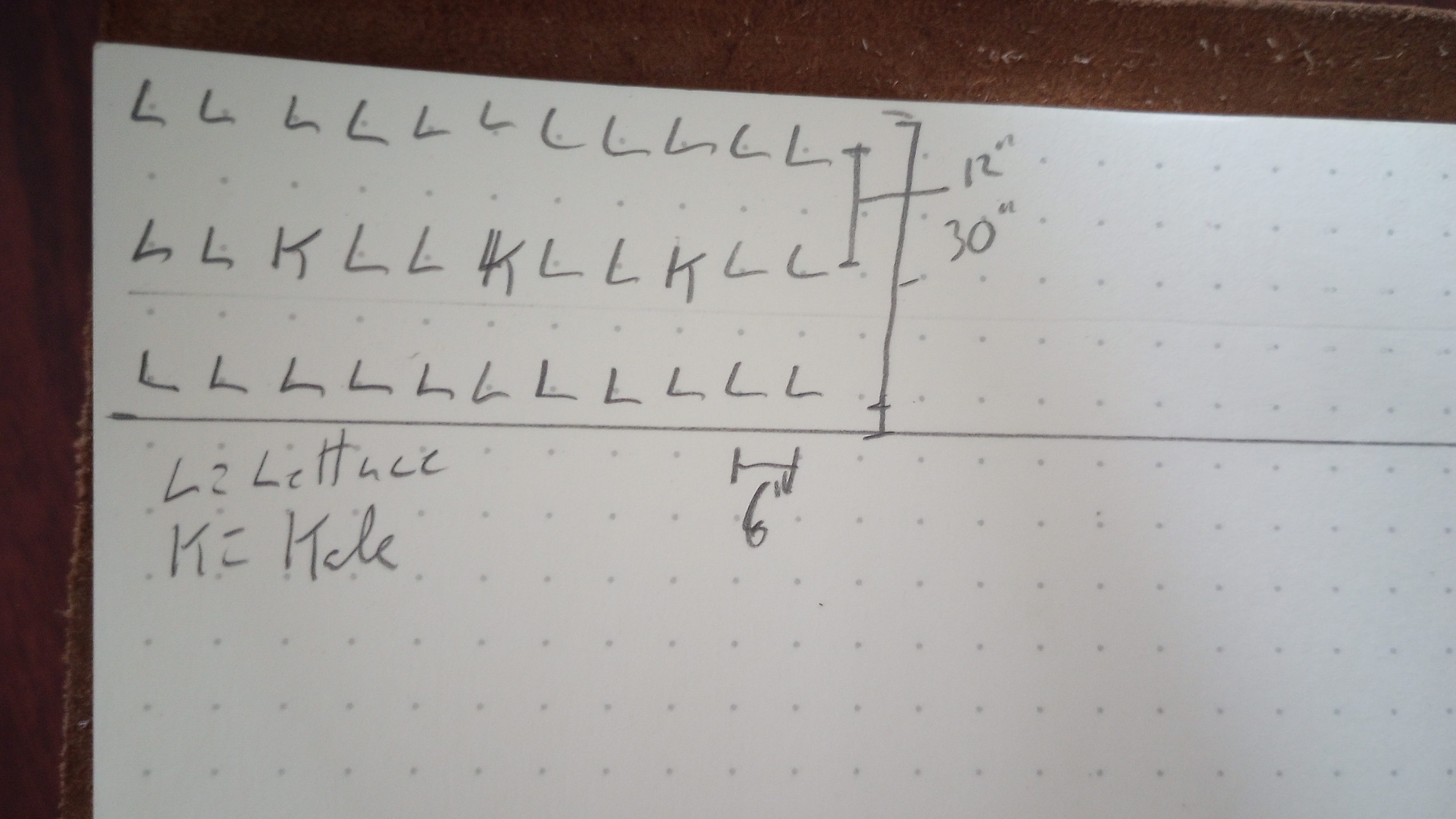 Do Carrots Love Tomatoes? by Todd Schriver