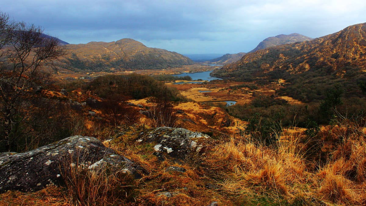 Have You Experienced The Exceptional Natural Beauty Of Killarney?