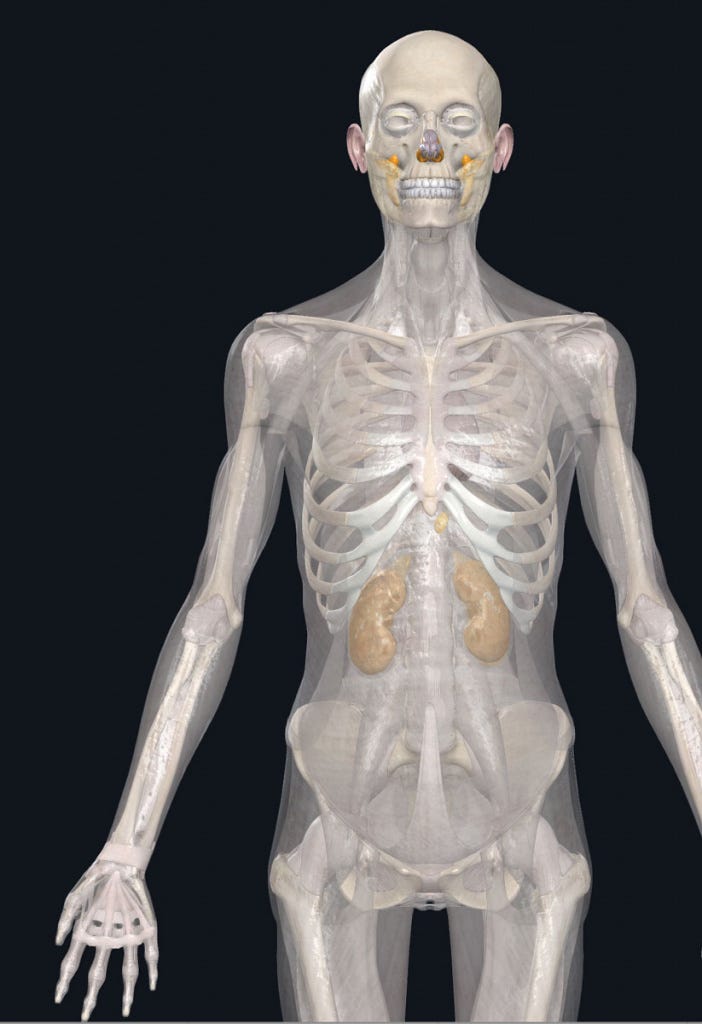 What is Fit and how does Ease Impact Fit?
