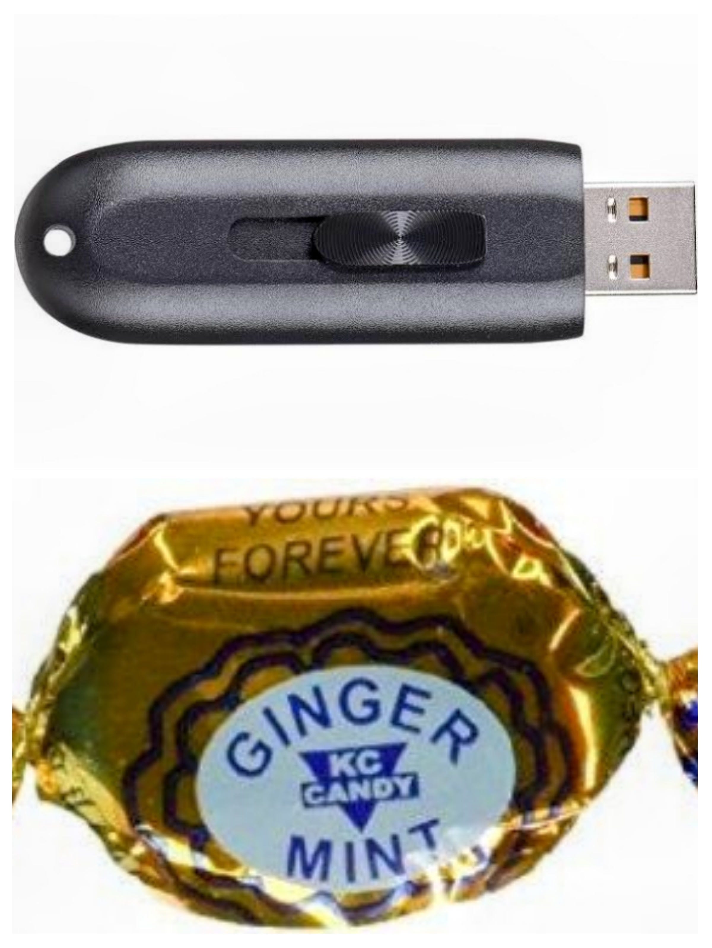 The Ginger Mint Candy Twins by David Robert Davidson