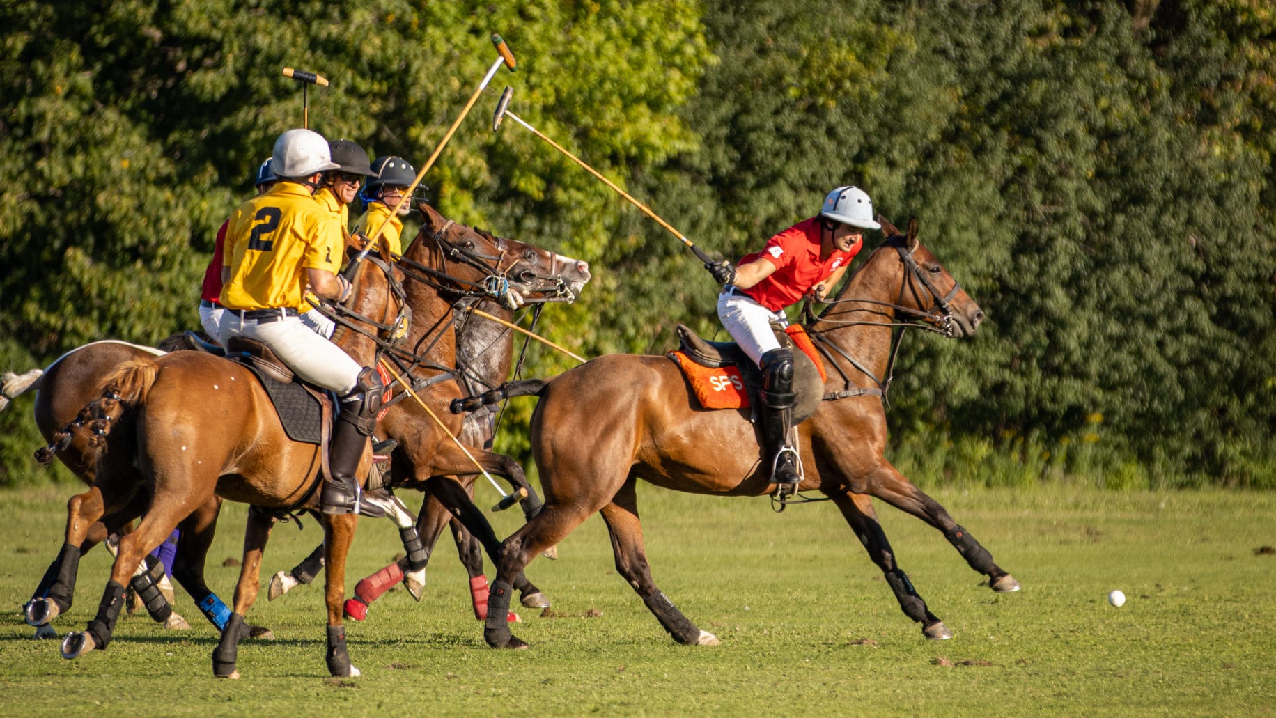 Horse polo near me discount