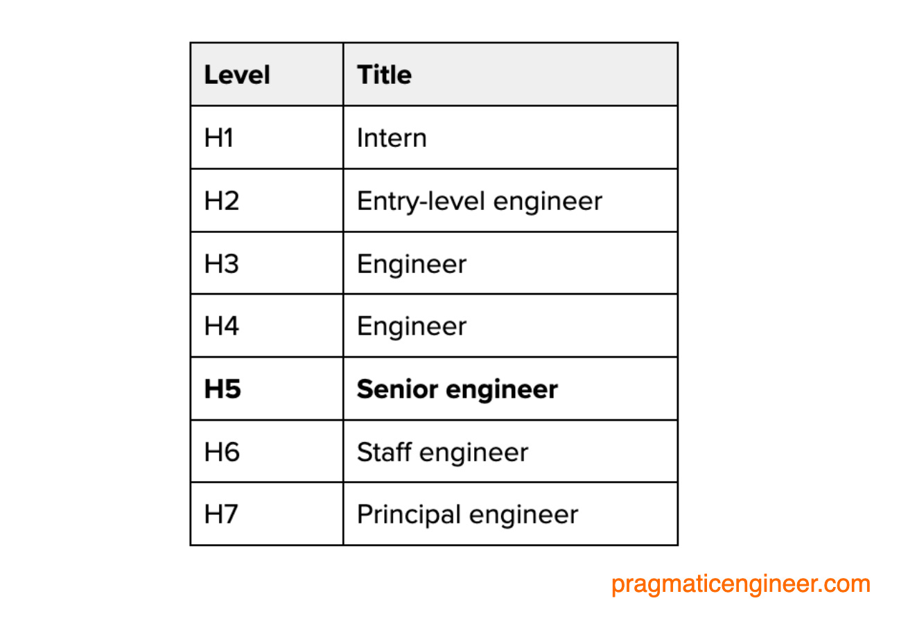 What is a Senior Software Engineer at a Scaleup?