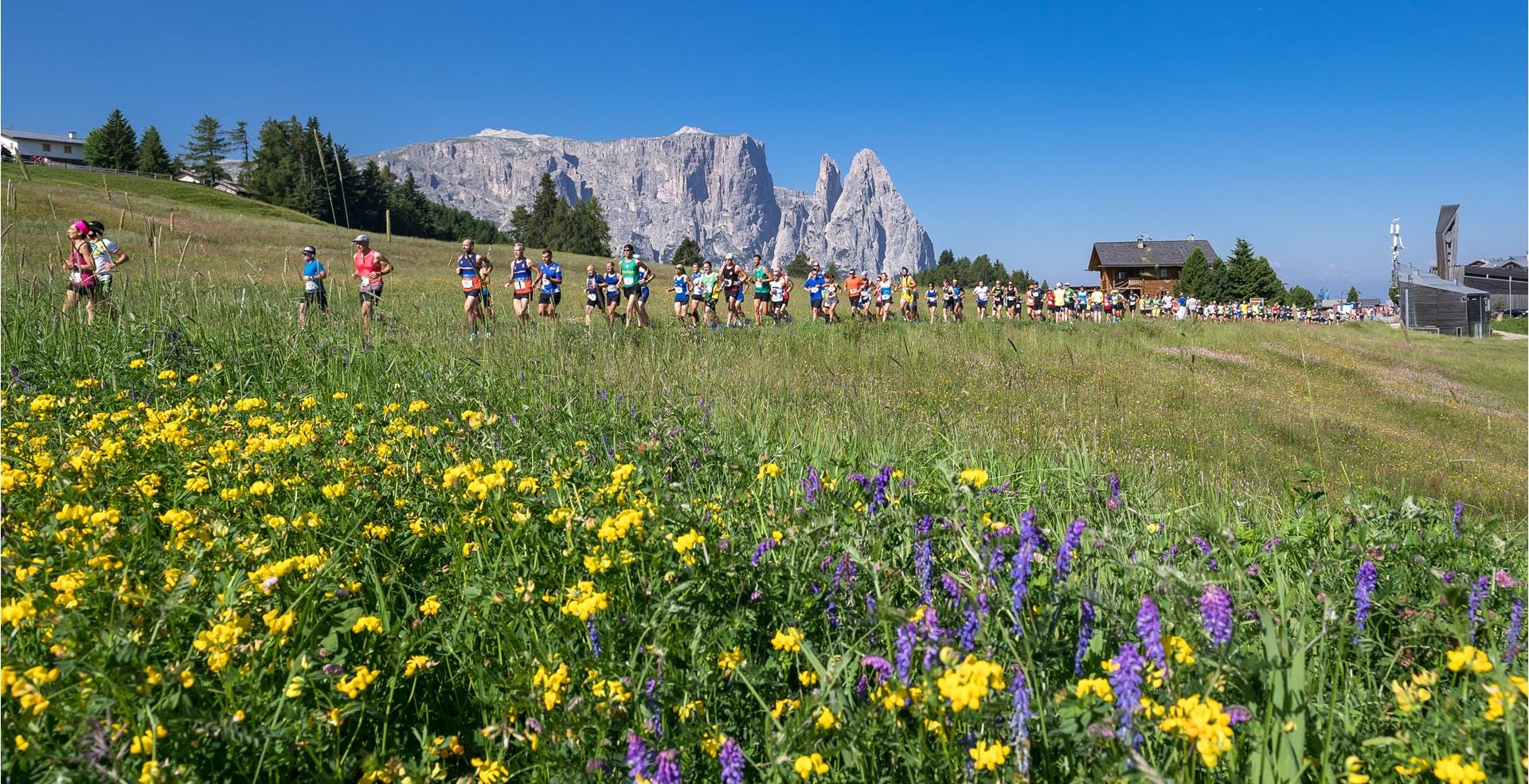 19 European Half Marathons You