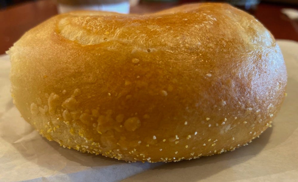 Can I get a good Bellingham bagel at... The Bagelry