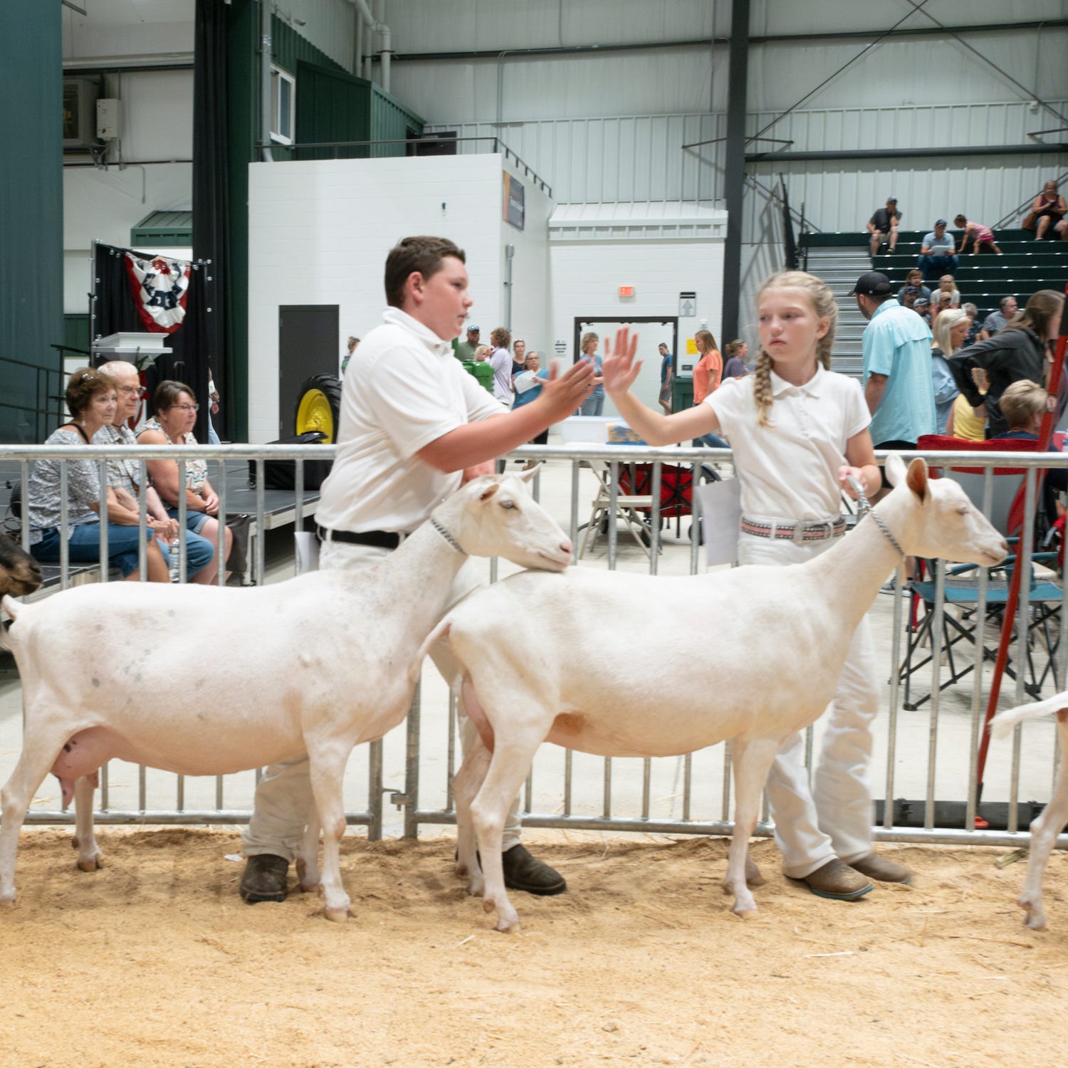 Scenes of the Tippecanoe County 4H Fair by Dave Bangert