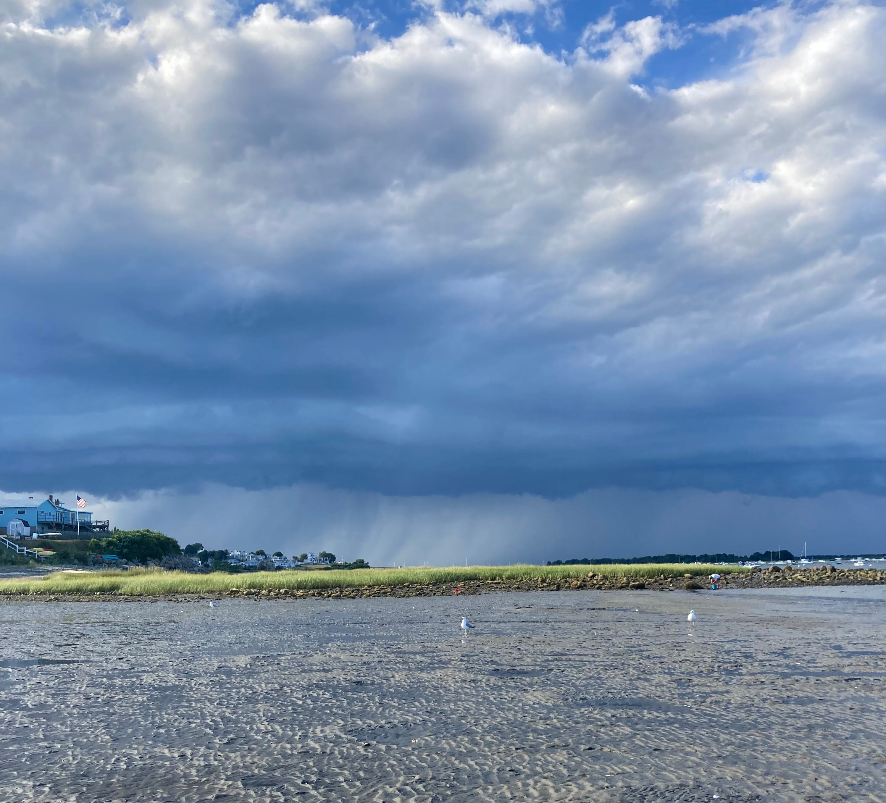 What We We Know by Serena Burman