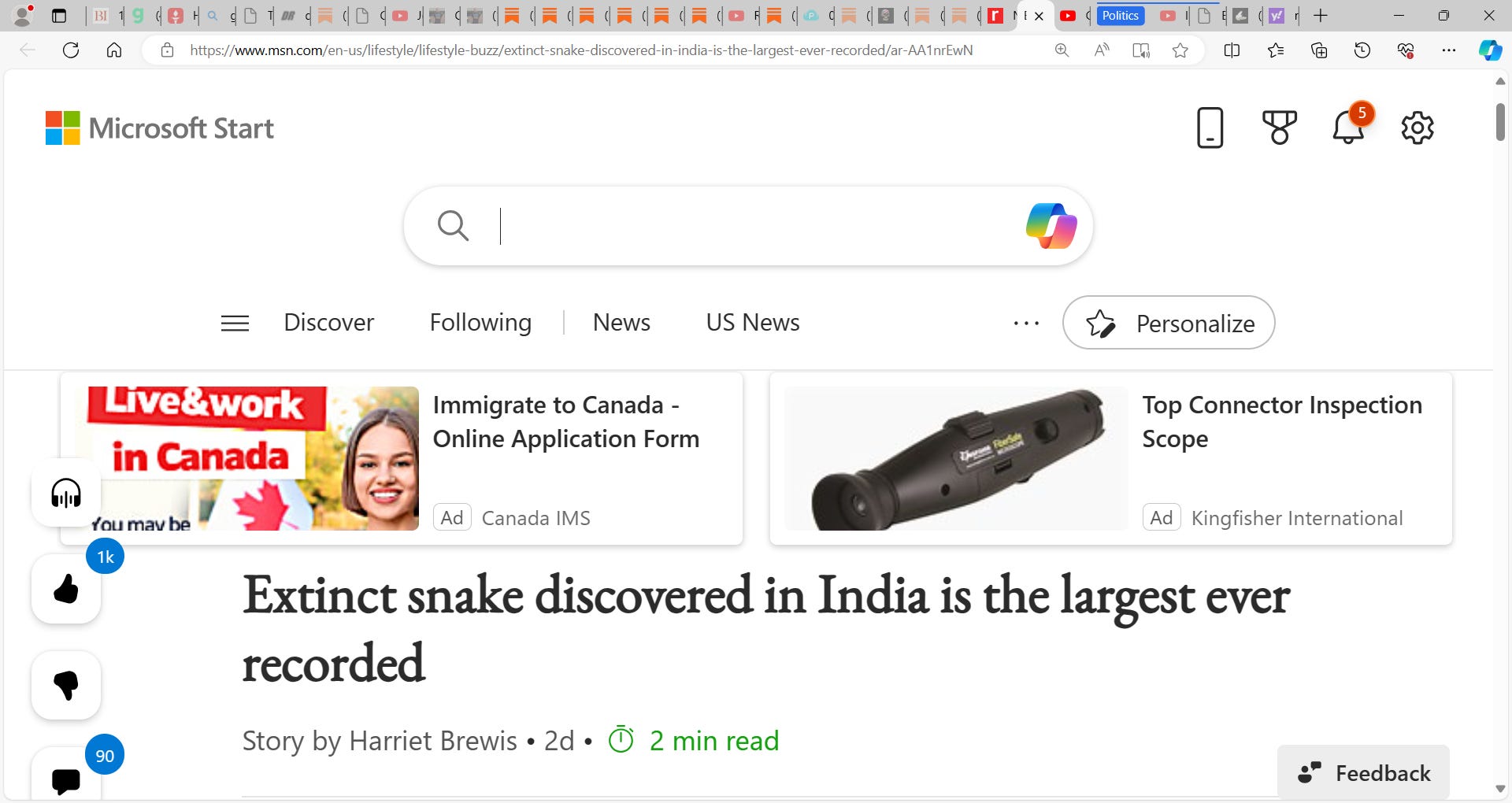 This Is Huge Worlds Smallest Snake Thought Extinct Rediscovered - 7hpsbg0