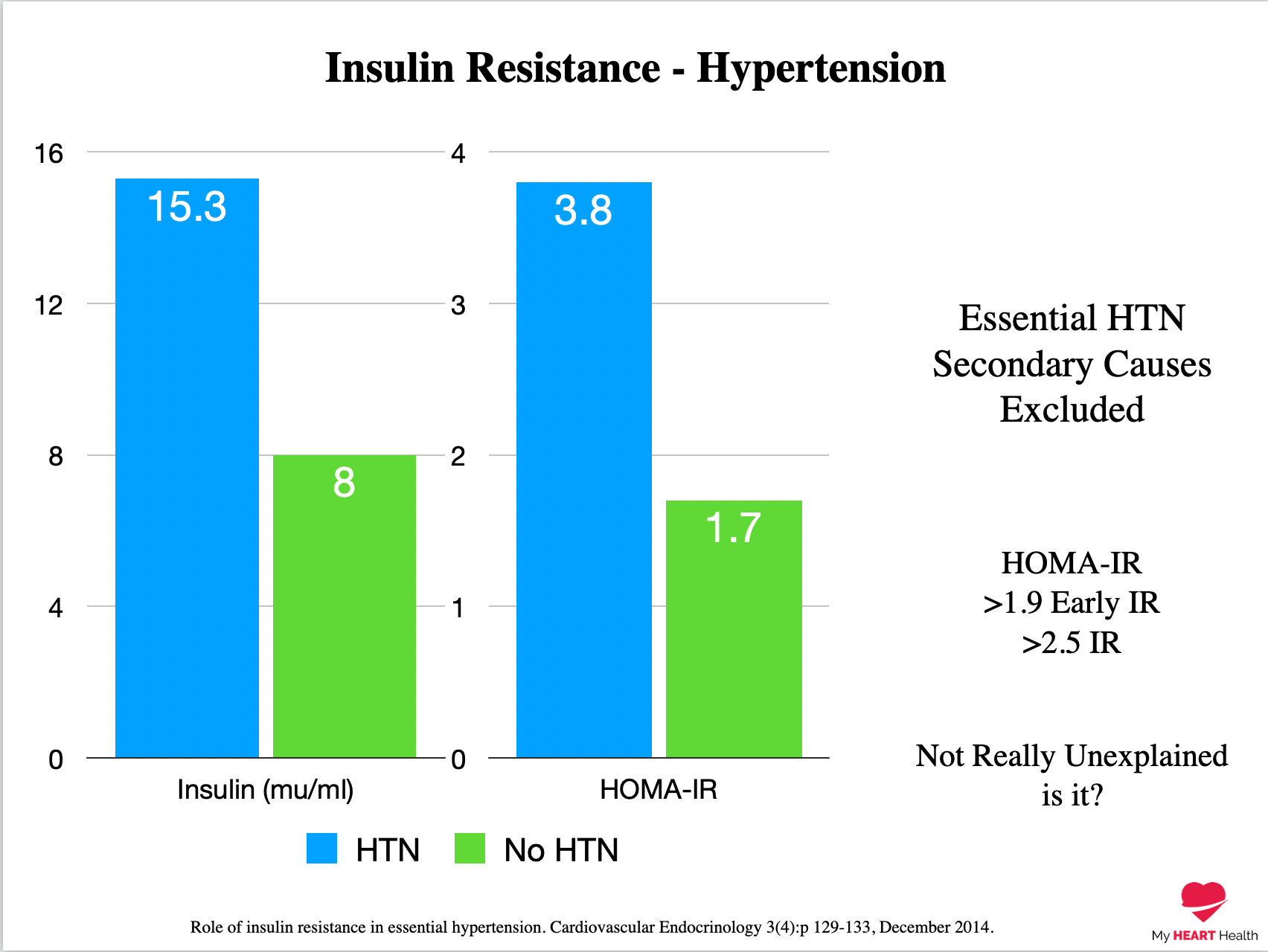 The Real Cause Of High Blood Pressure Dr Paddy Barrett