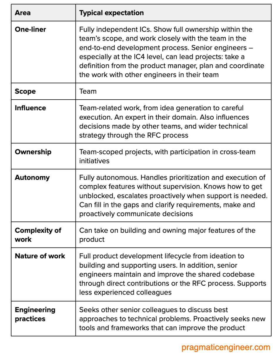 What is a Senior Software Engineer at a Scaleup?