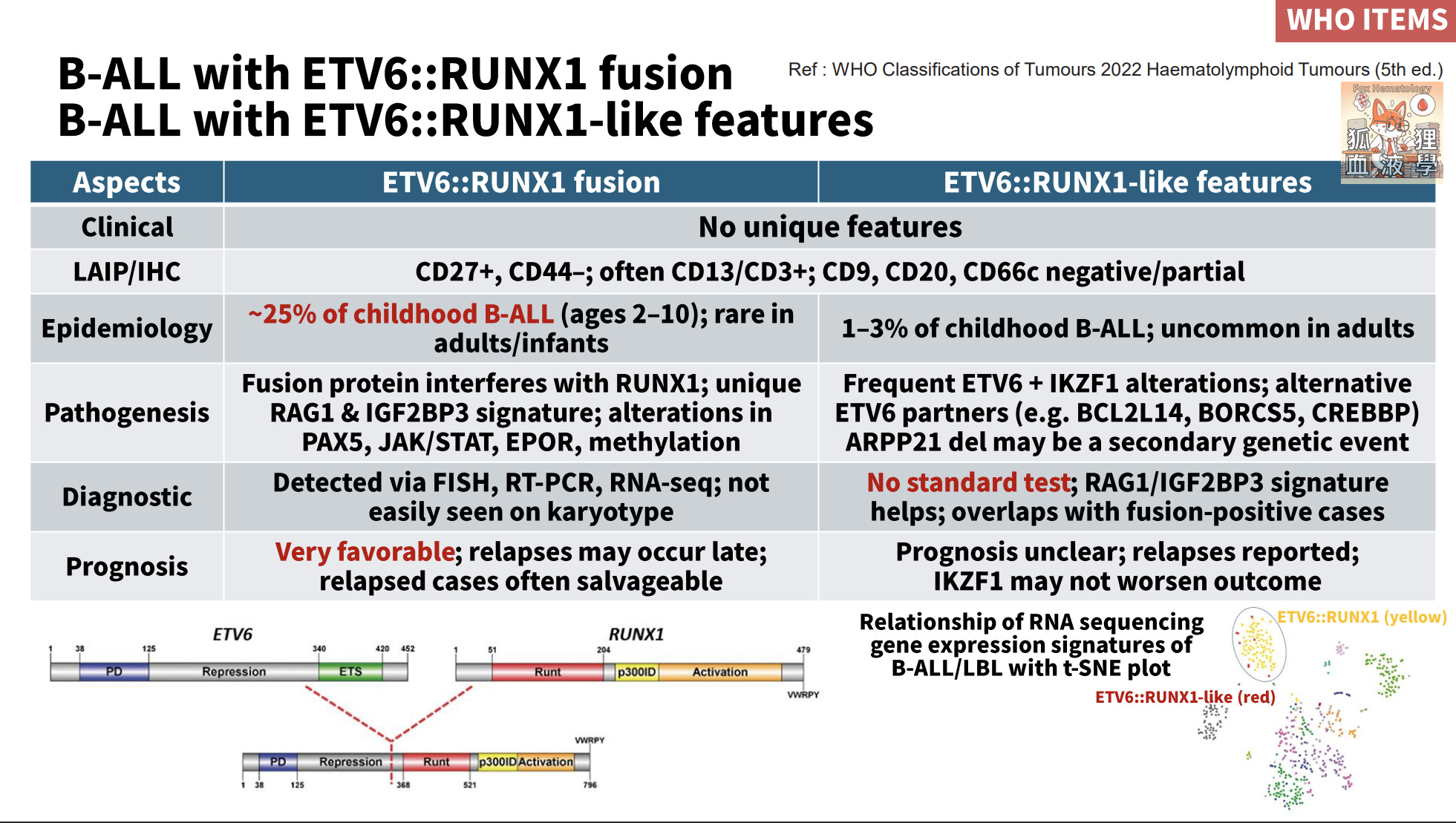急性淋巴性白血病 (Acute Lymphoblastic Leukemia, ALL) 的診斷與風險預後