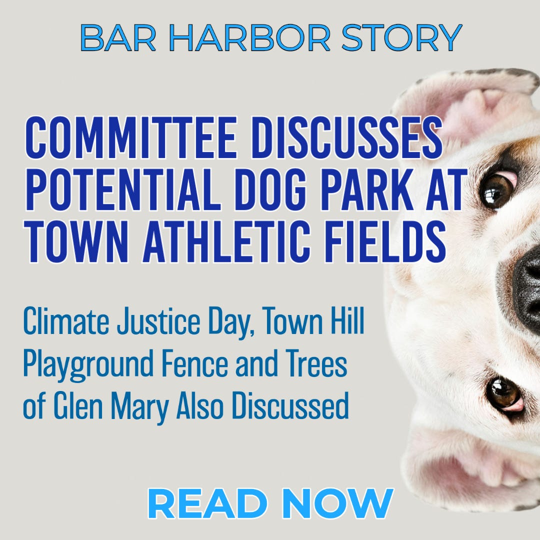 Committee Discusses Potential Dog Park at Town Athletic Fields Bar