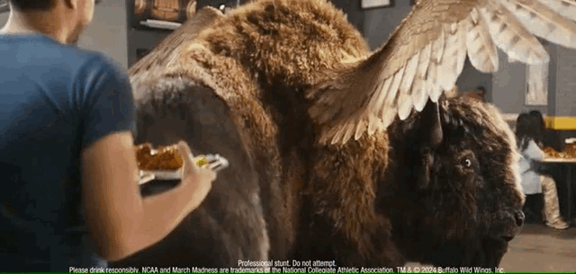 the buffalo from the buffalo wild wings commercial should be kicked out of  the restaurant