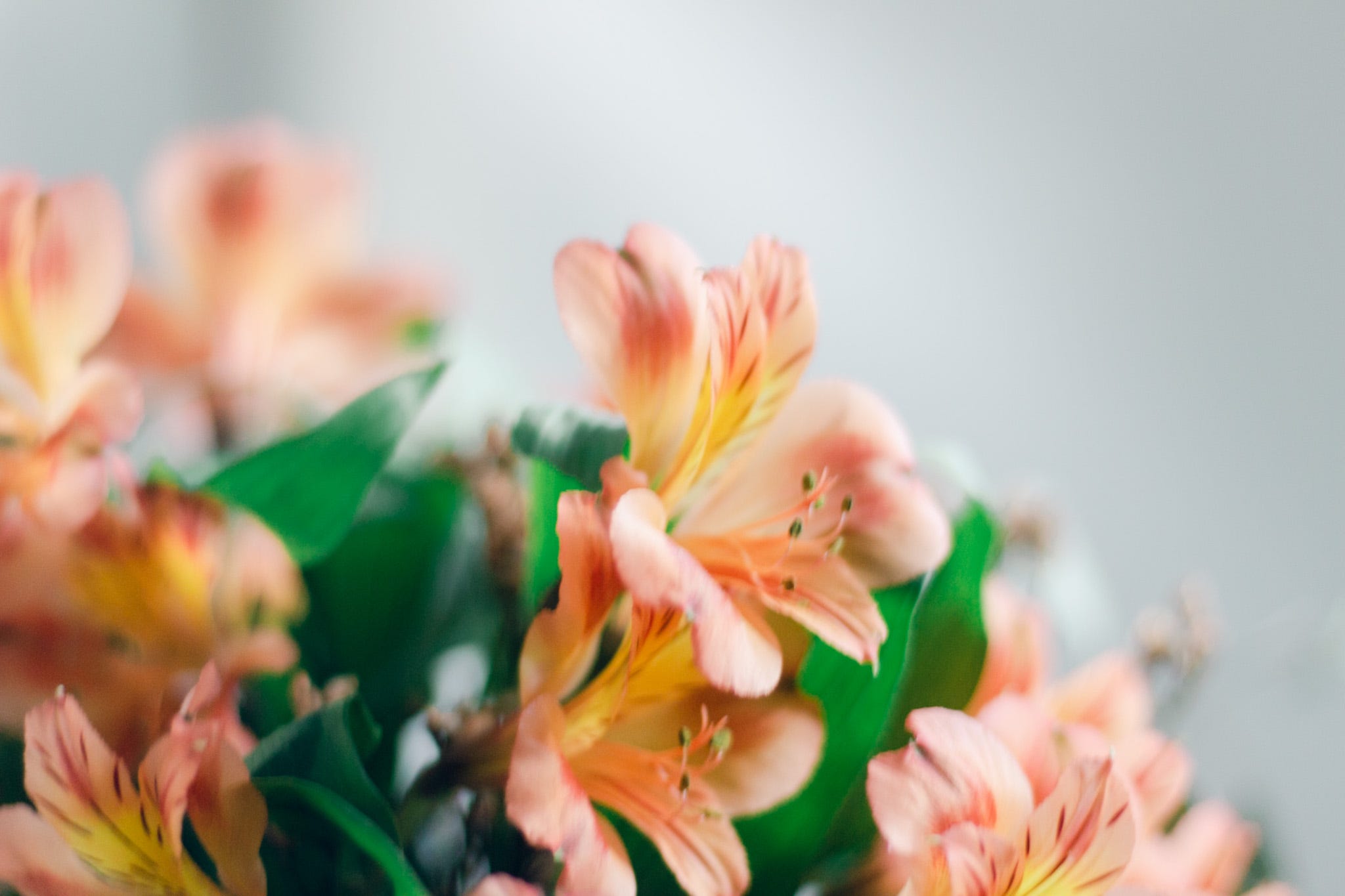 7 things I'm currently unlearning - by Josefina H