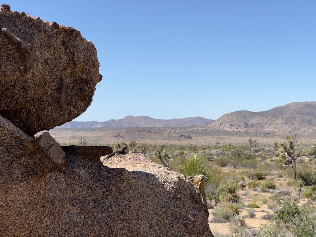 ON THE AGENDA Twentynine Palms Planning Commission, May 7, 2024