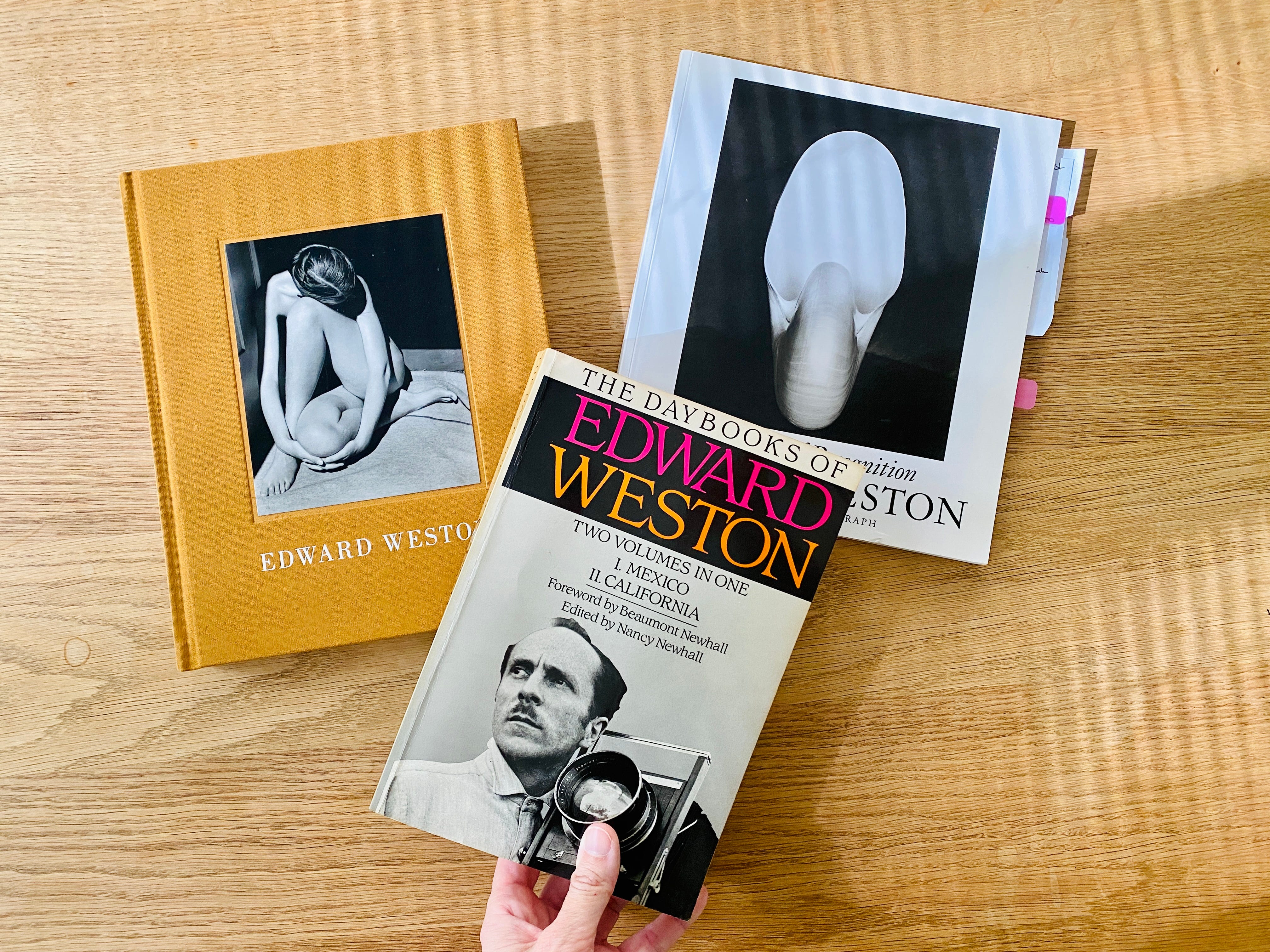 The Daybooks of Edward Weston by Susanne Helmert