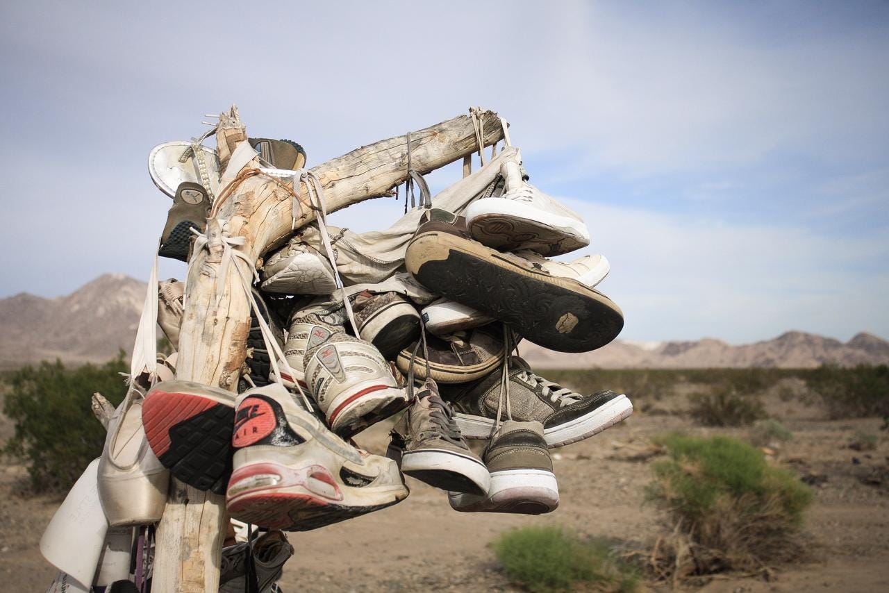 Tennis shoe tree shop