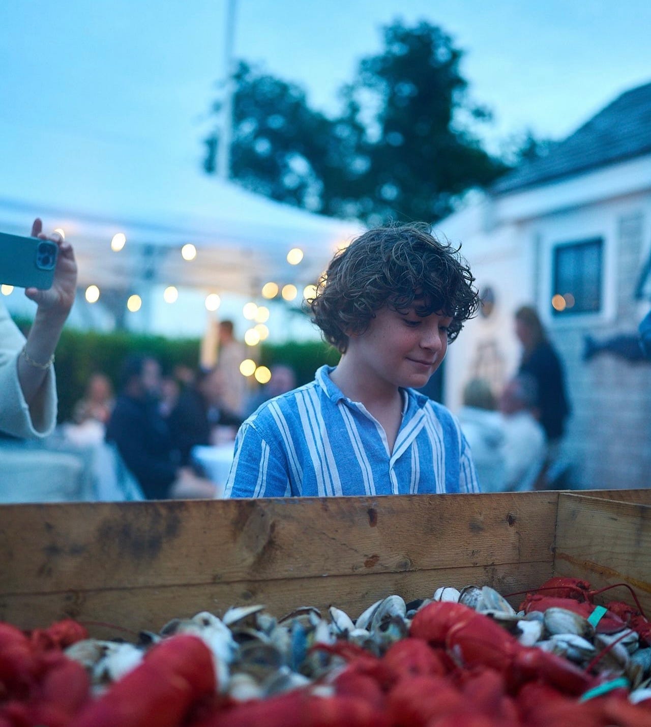 CAPE COD DELIRIUM - by Jessica Reed Kraus - House Inhabit