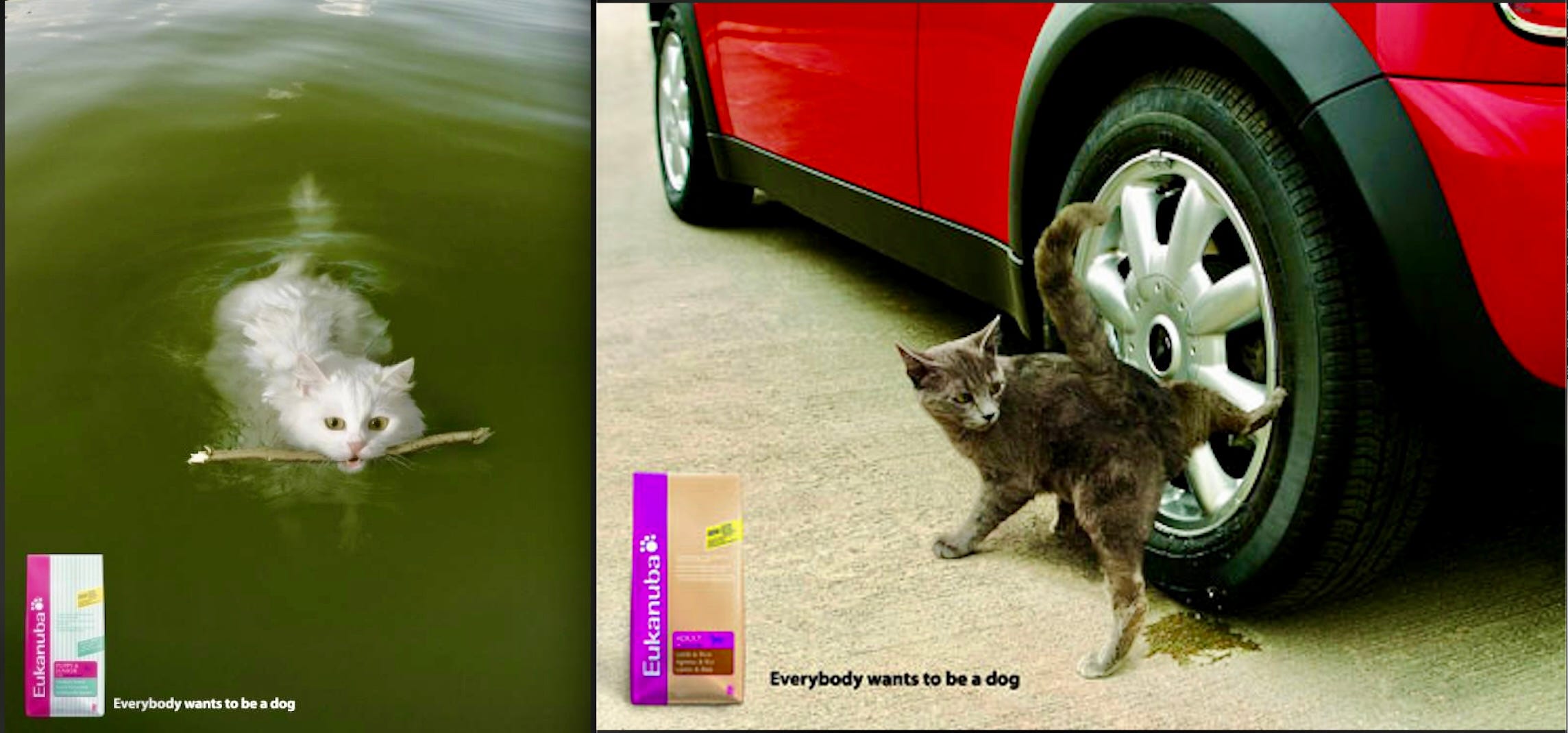 13 MOST CREATIVE ADS WITH CATS Copyranter Two Point Zero 13-most-creative-ads-with-cats-copyranter-two-point-zero