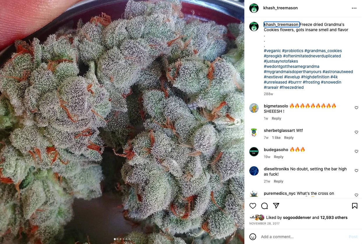 Space Weed Freeze Dried Cannabis Flower by Ben Owens 🌱