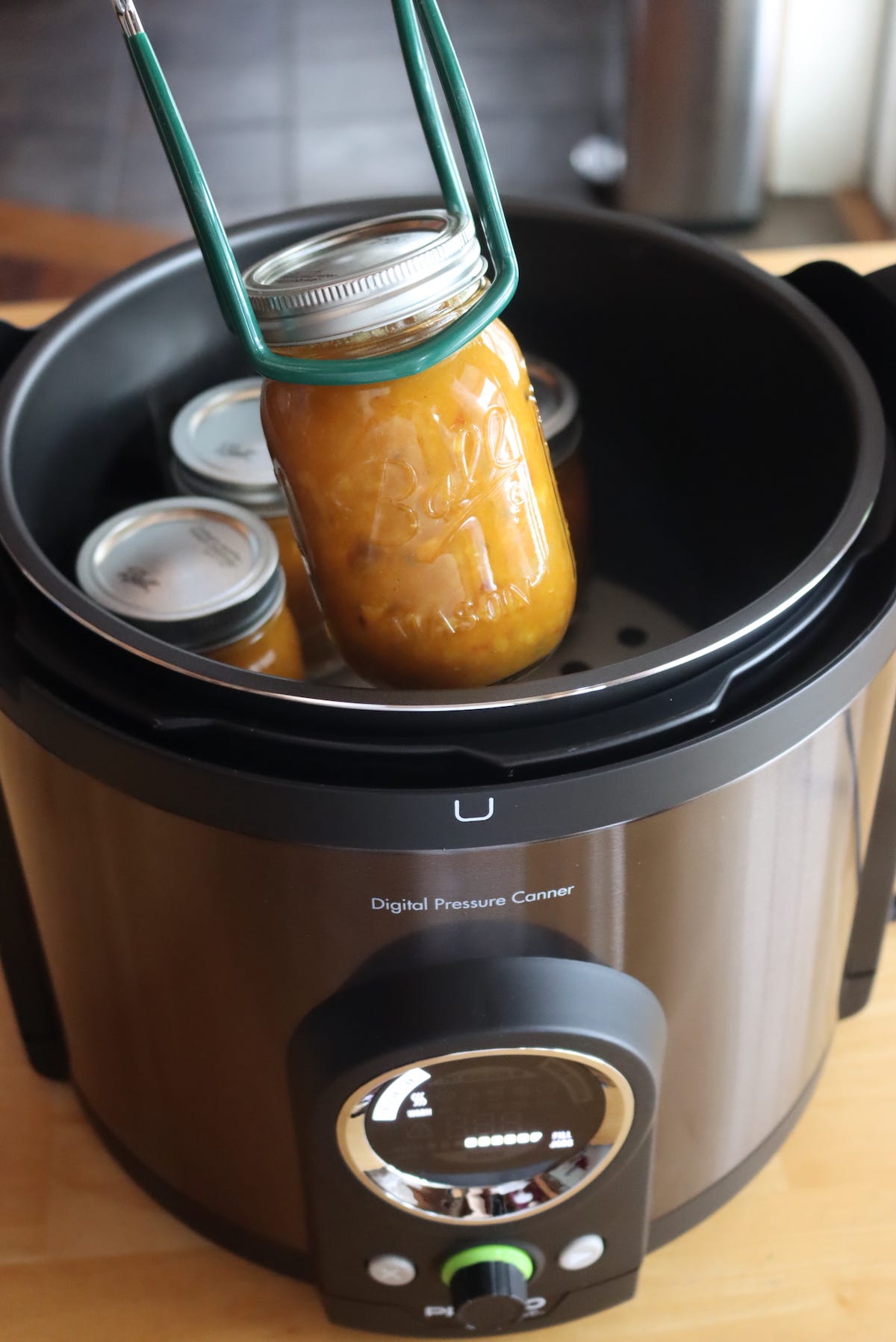 Using an Electric Pressure Canner by Ashley Adamant