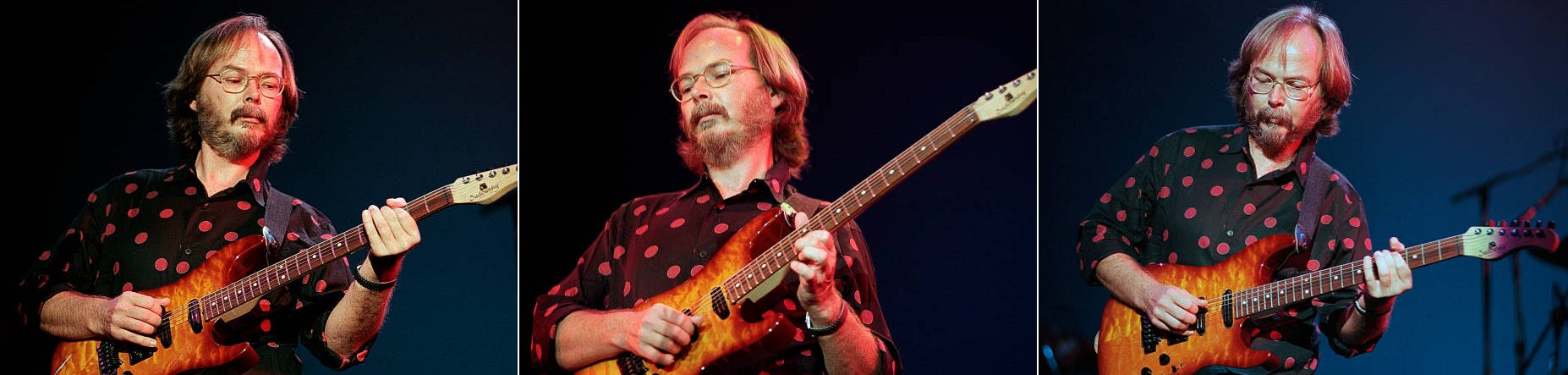 Walter becker guitar collection outlet