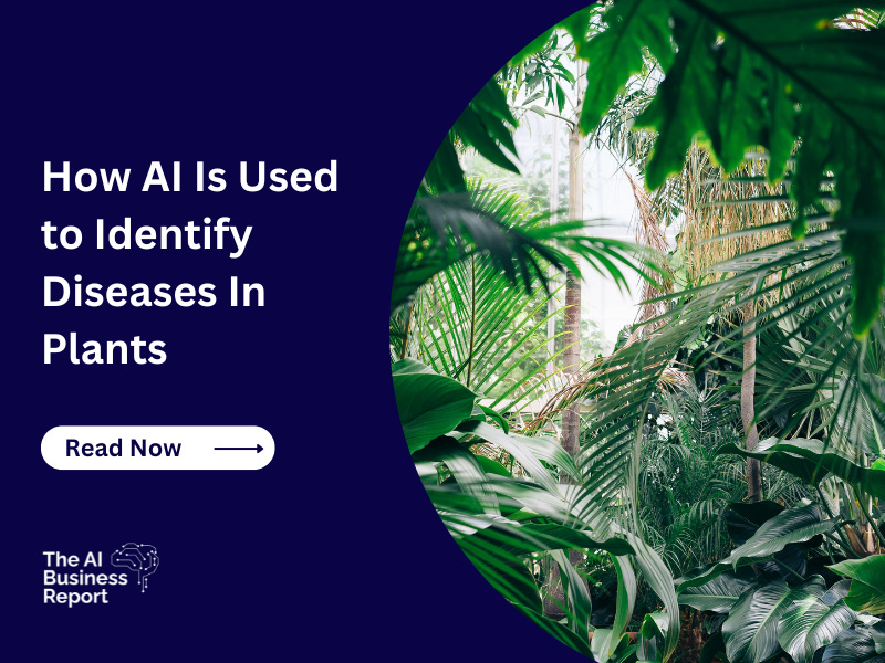How AI Is Used to Identify Diseases In Plants Circuit Diagram