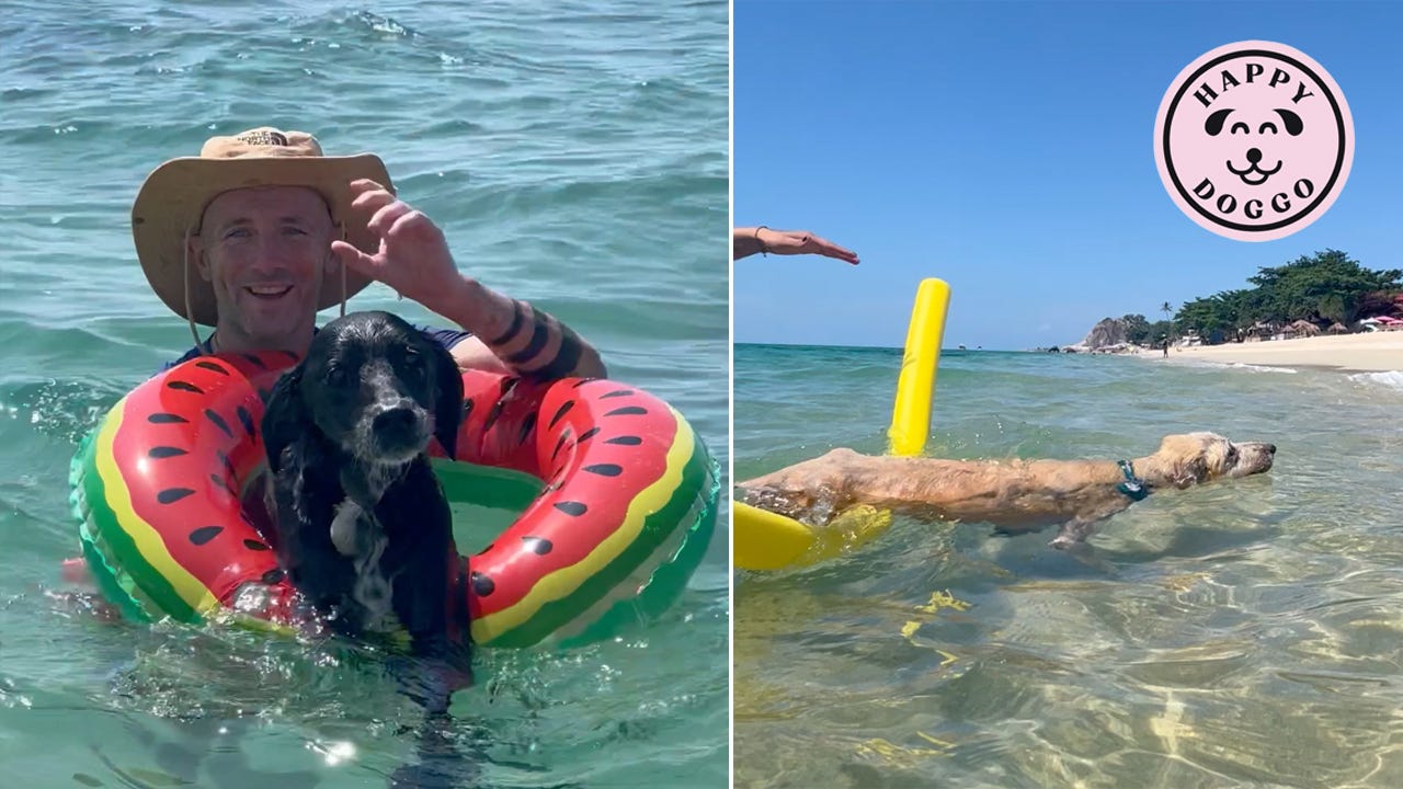 Penny McMuffin And Tina Why I Make Happy Doggo Videos