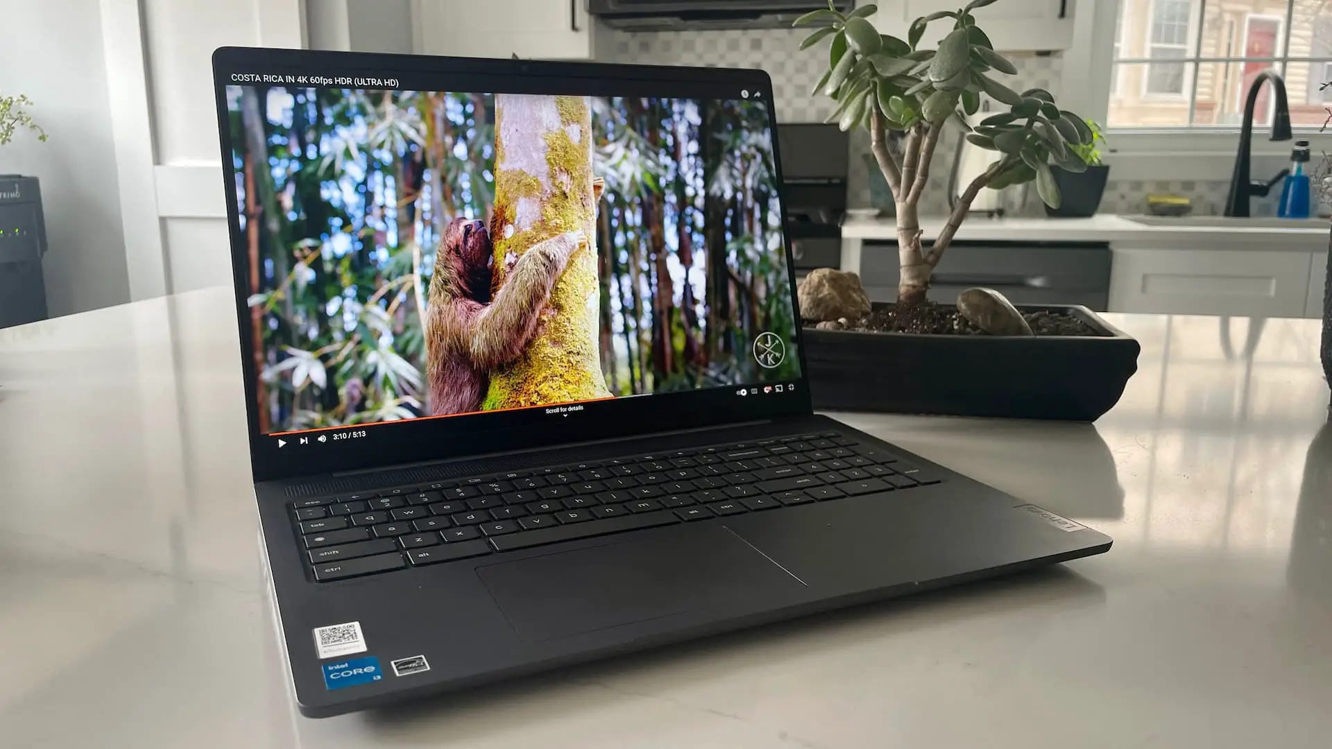 Large screen shop chromebook