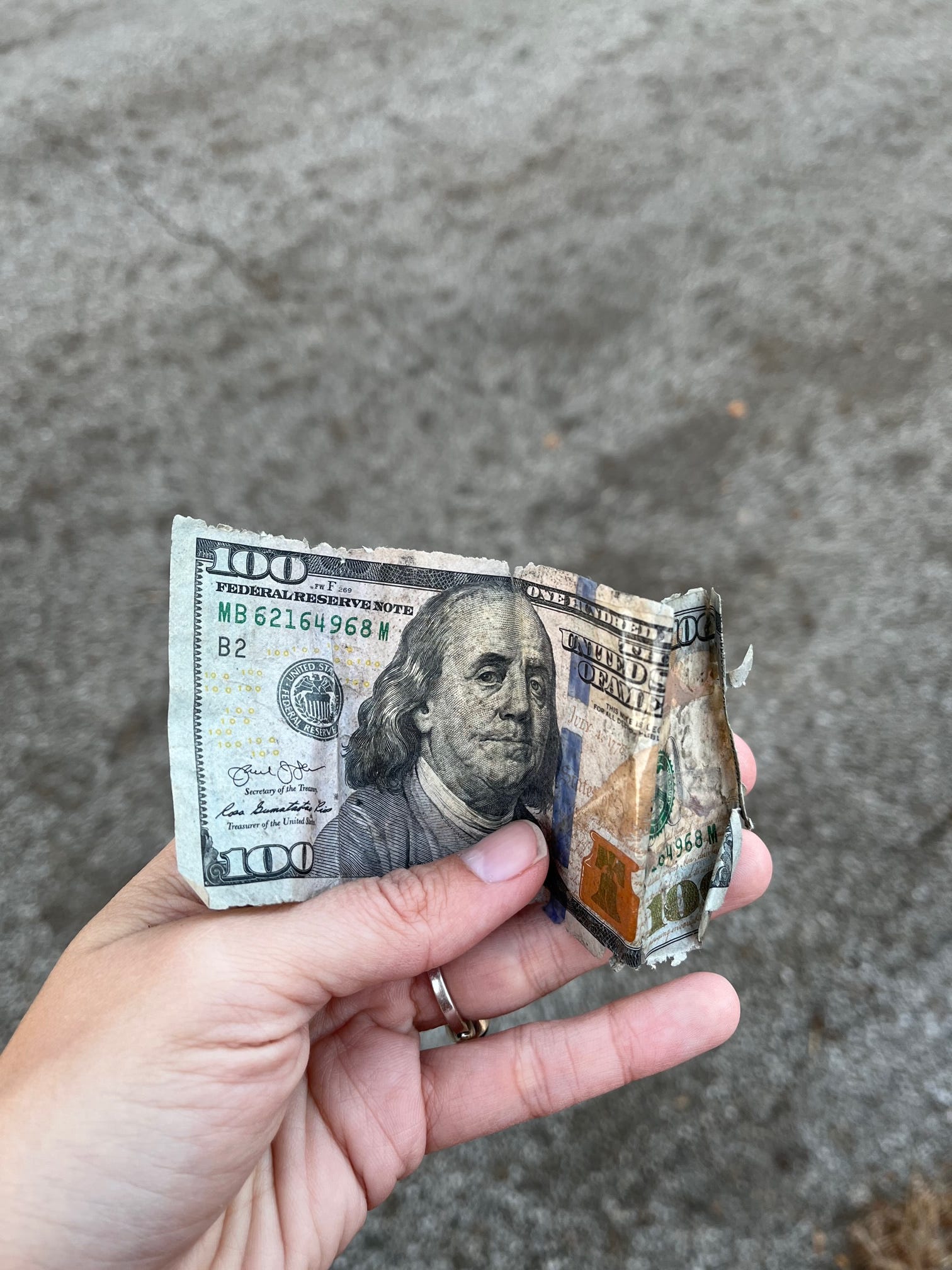 roadside girl scout cookies, money sweats + poolside tarot readings.