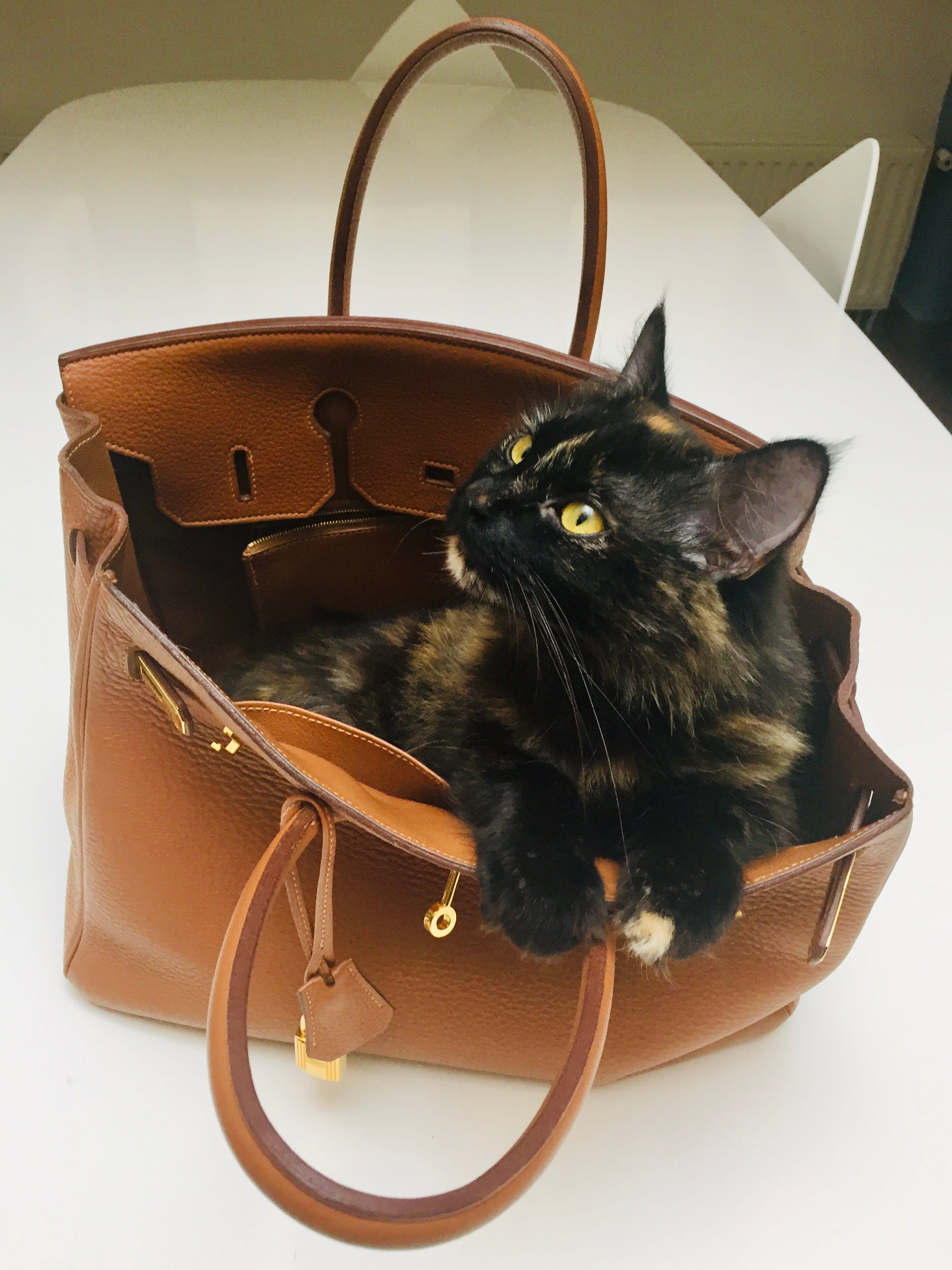 Birkin bags are ridiculous sale