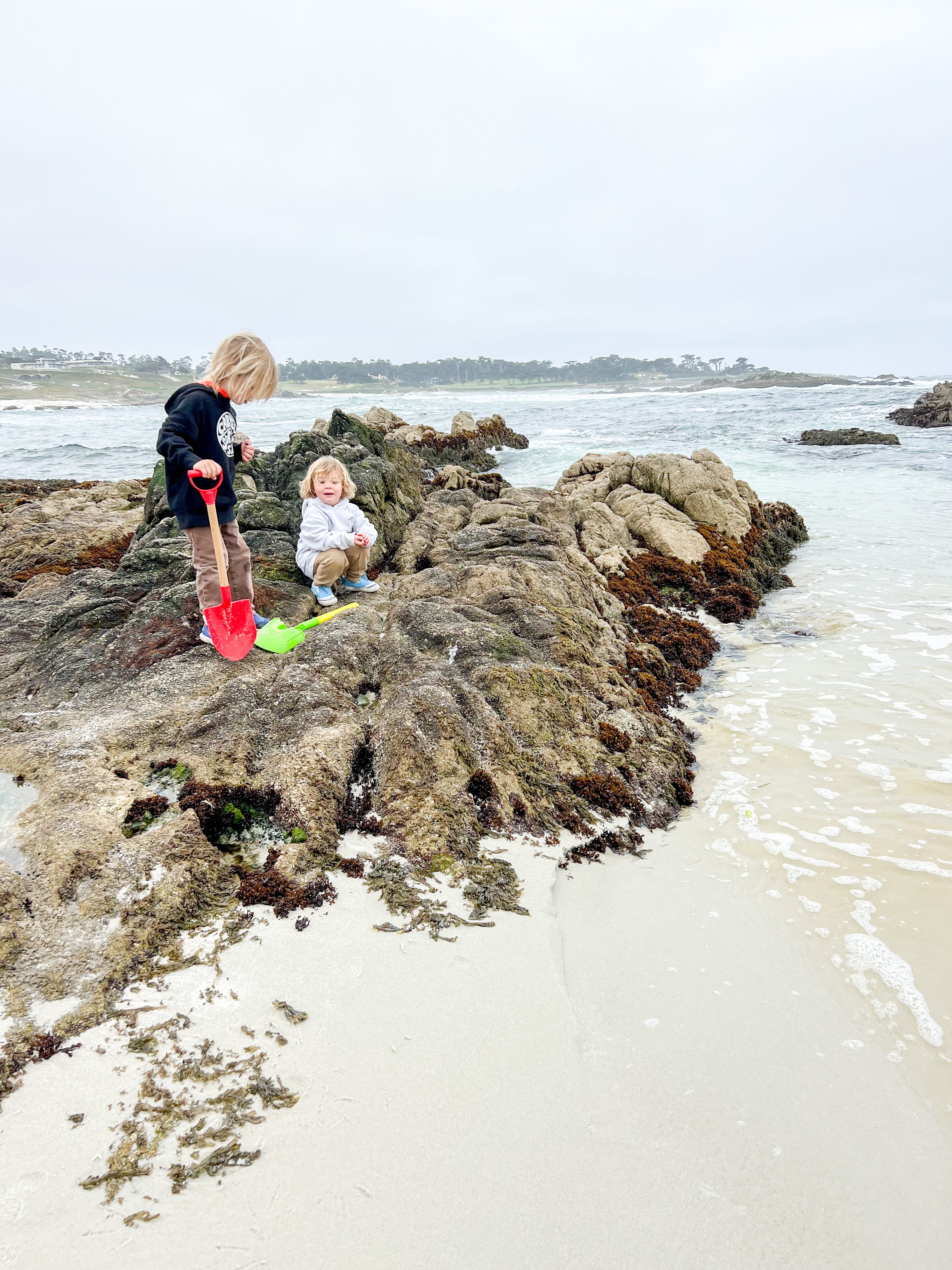 beach sandwiches by Caroline Chambers