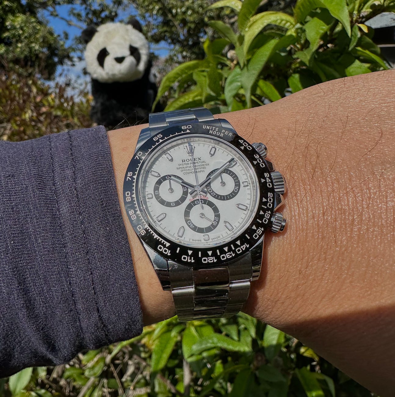 Rolex daytona sale ceramic panda