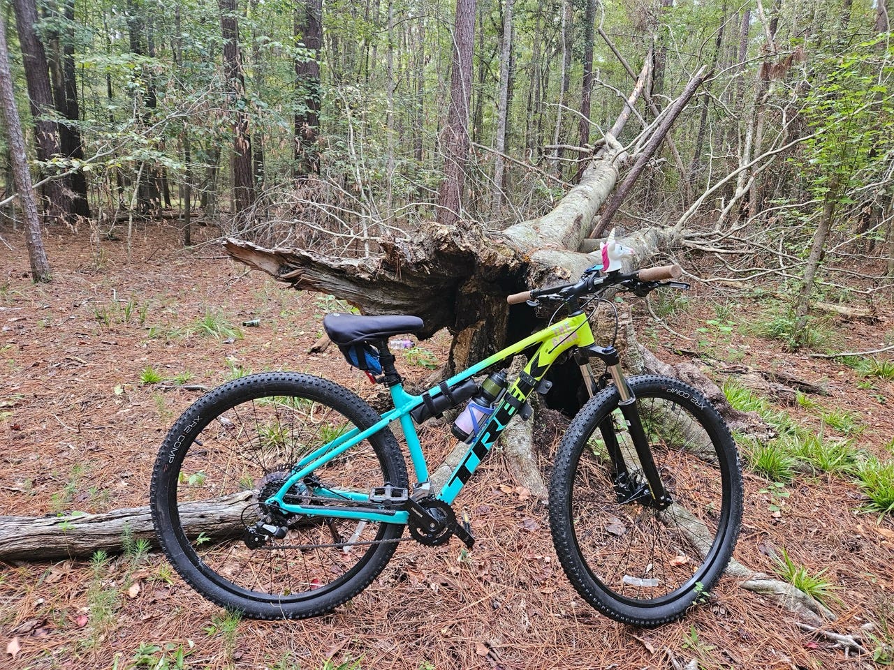 Trek marlin amazon sale