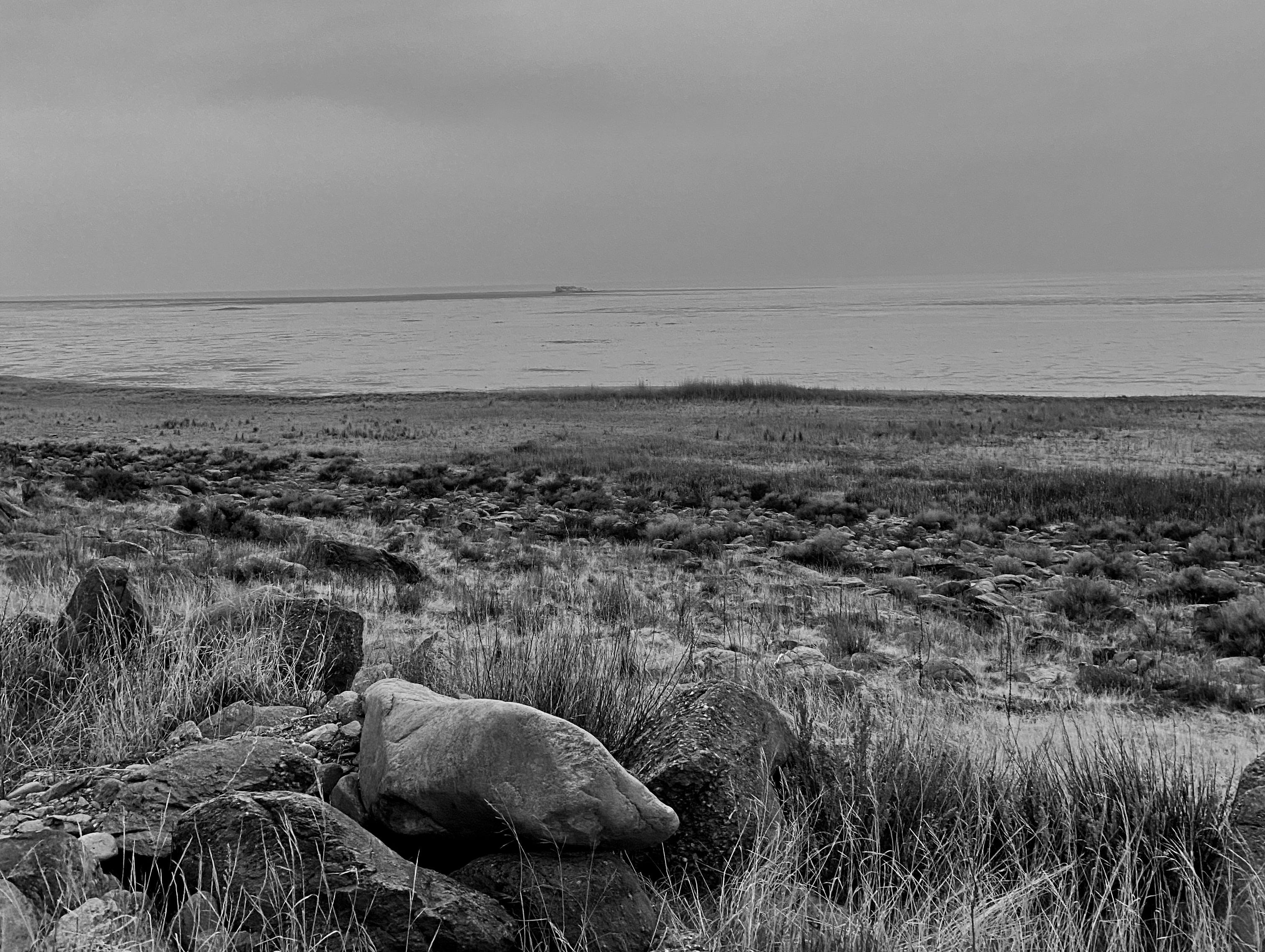 The Body on White Rock Bay - by Arianna Rees - The Void