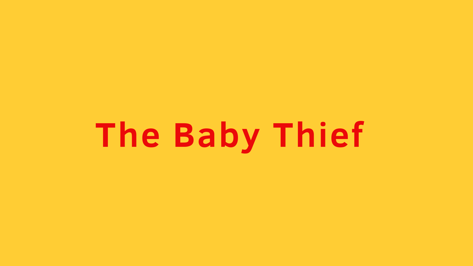 The Baby Thief Lagos Convo