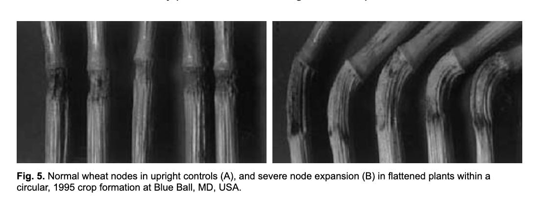 Crop Circles: What Is Behind These Complex & Intricate Works of Art?