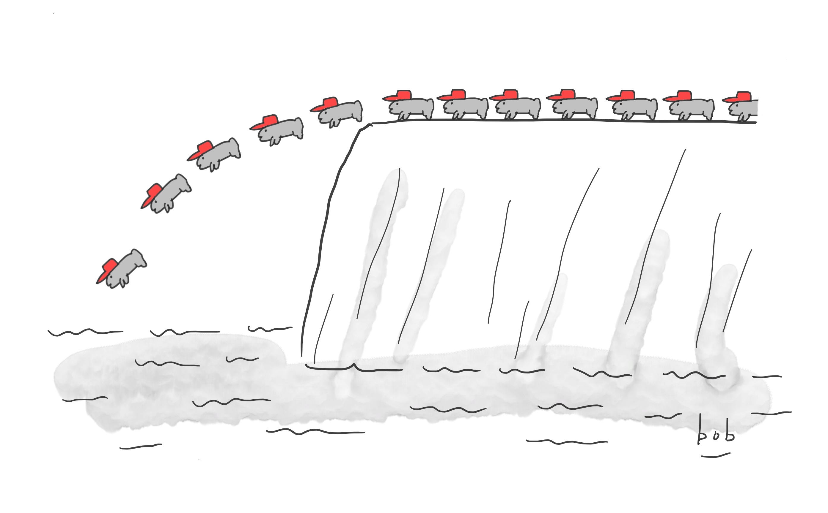 Post Election Thoughts The Bob