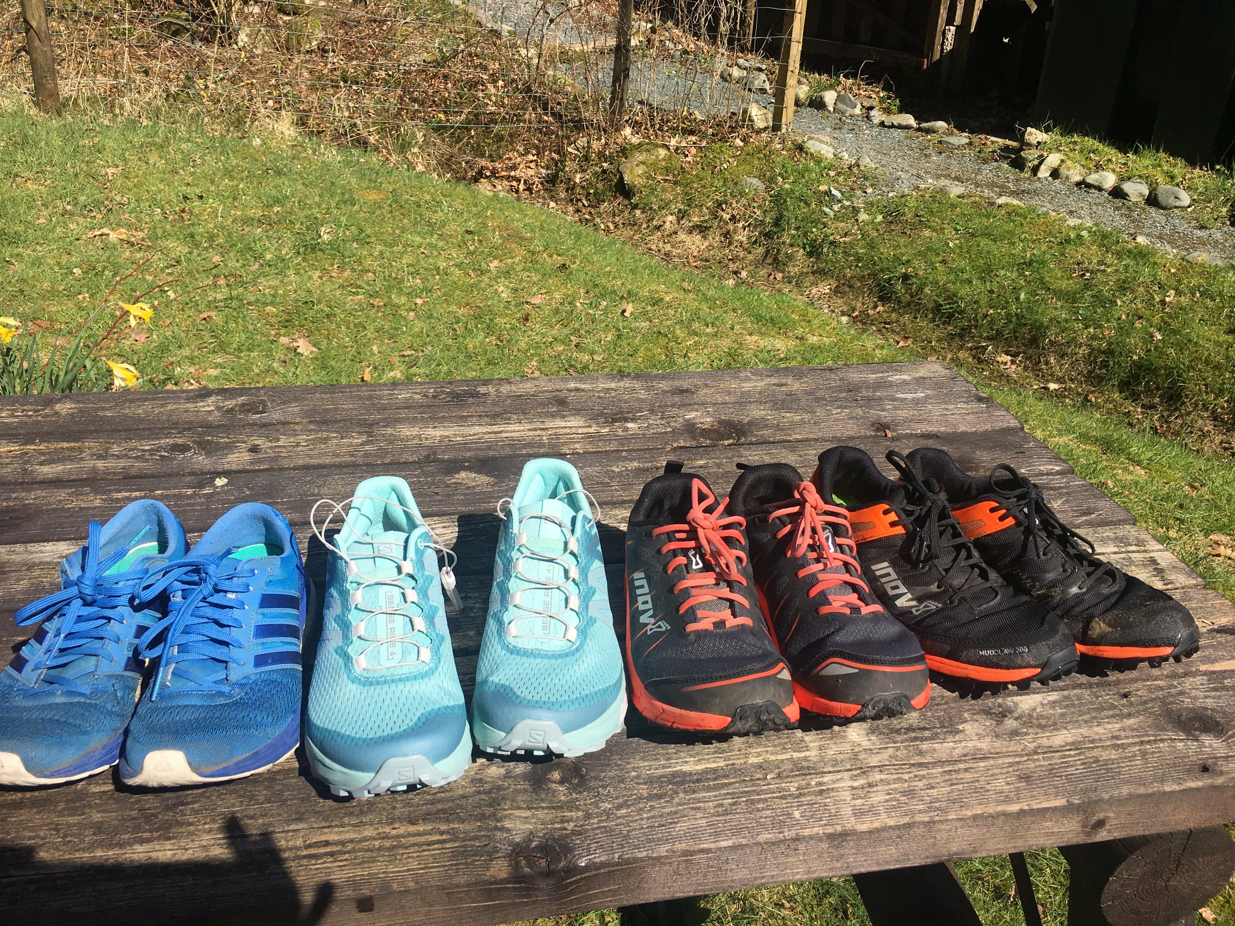 Salomon sense ride road running store