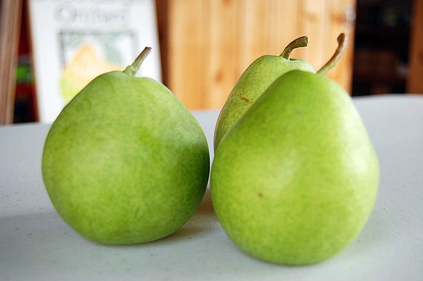 3 pears 3 pears