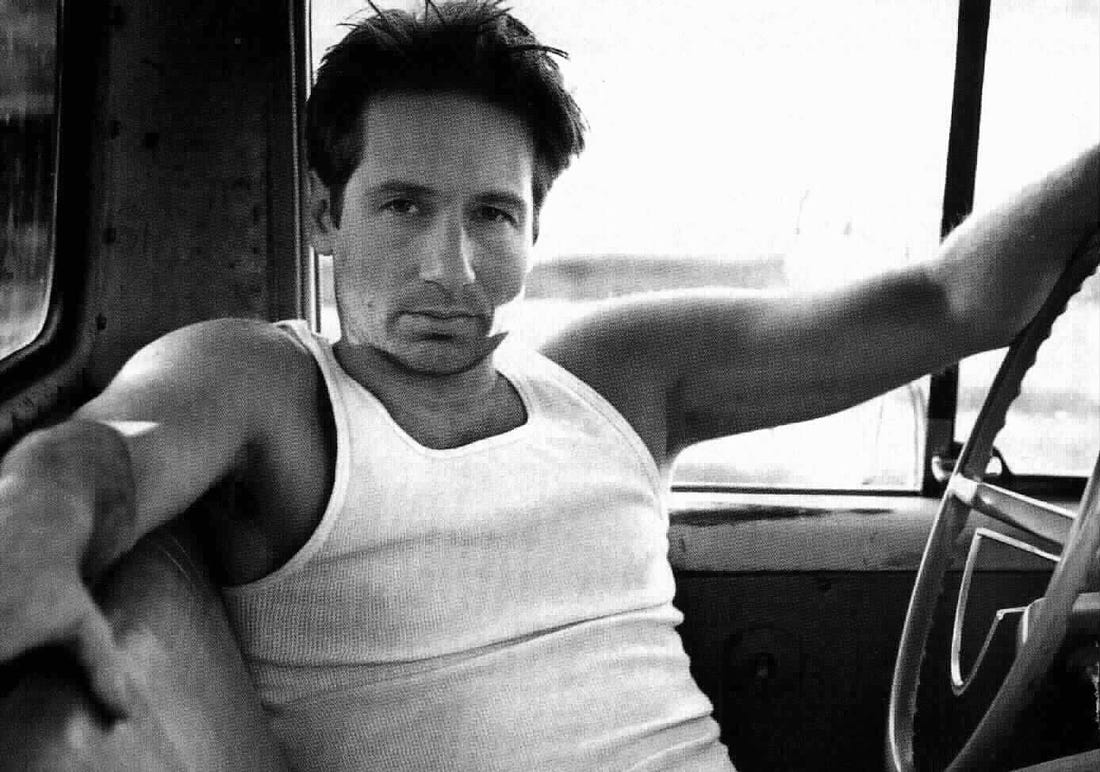 Image result for david duchovny hot young