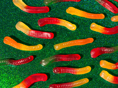 Gummy Worms Candy GIF by Phyllis Ma
