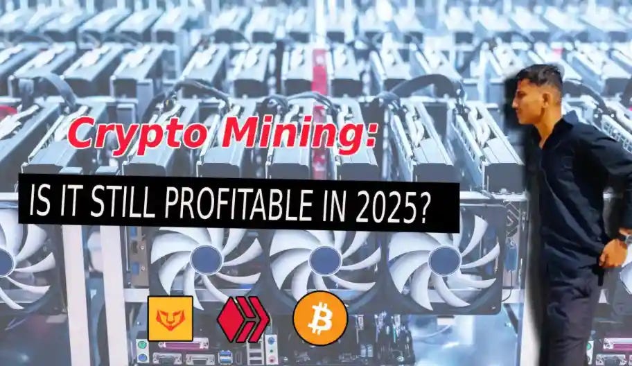 IMG_7384.jpeg IMG_7384.jpeg