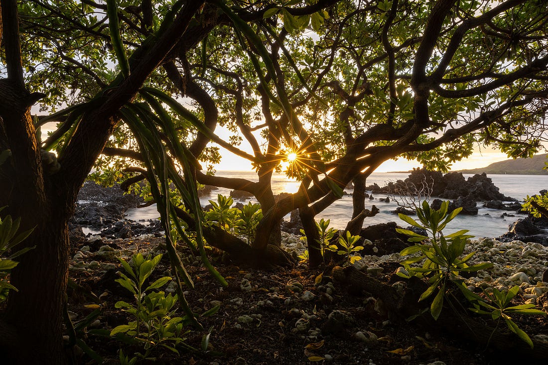 The forest and beach of Manini Beach shows a view of the white obelisk commemorating Captain Cook on the opposite side of Kealakekua Bay
