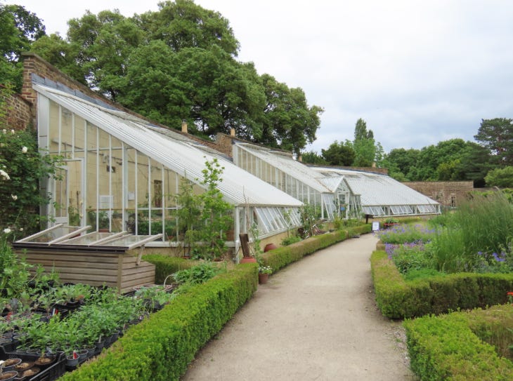 A greenhouse in the walled garden at Fulham Palace