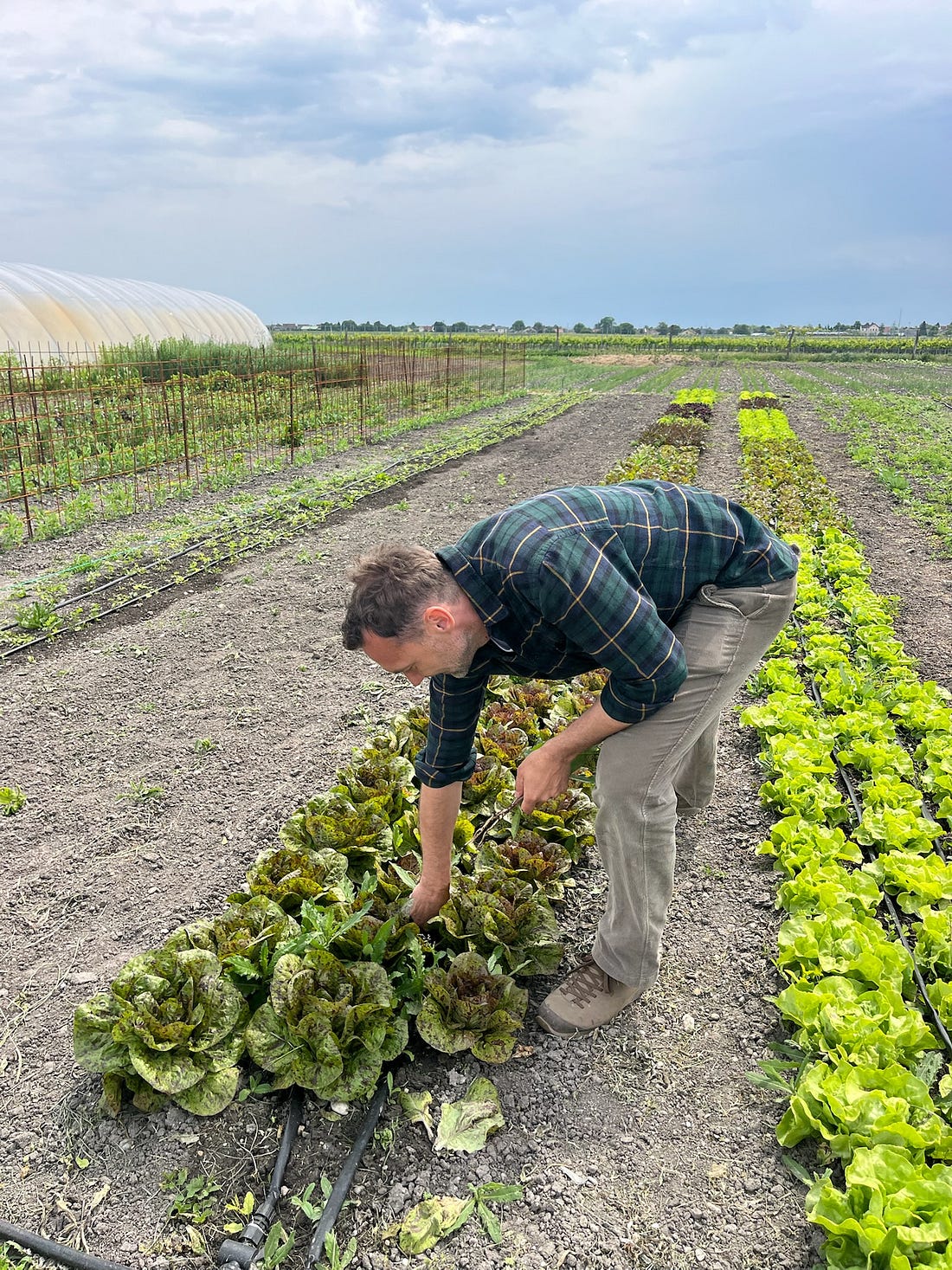 https%3A%2F%2Fsubstack post media.s3.amazonaws.com%2Fpublic%2Fimages%2F14ba2df3 238c 48a6 8f0e