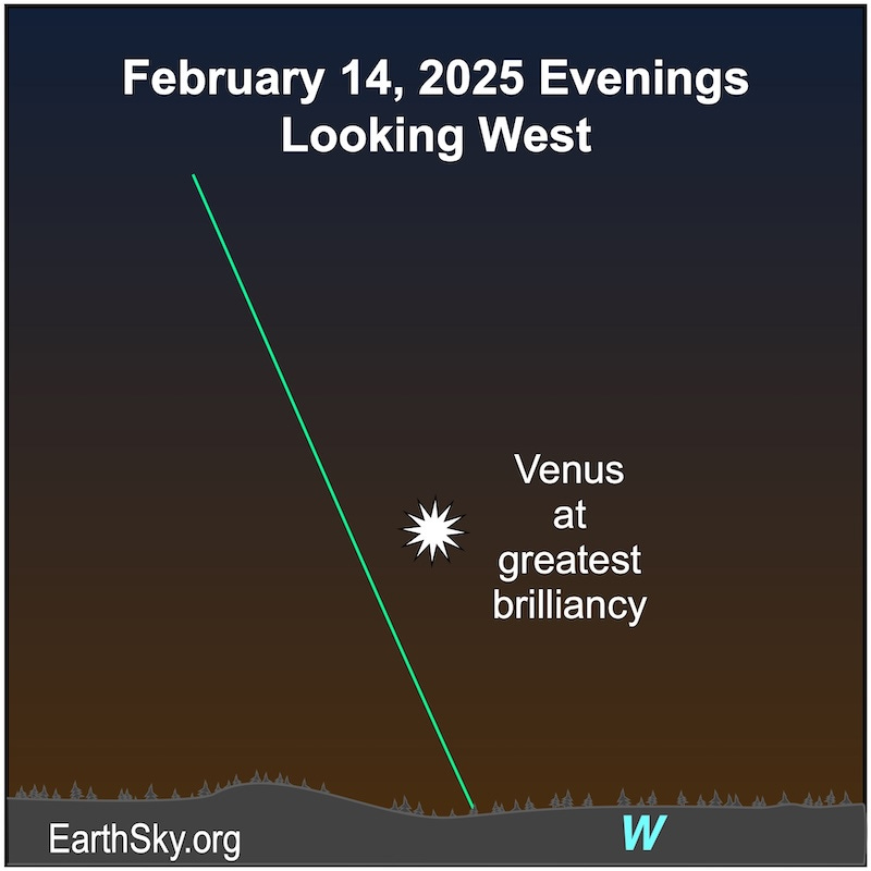 Chart showing an extra large starred dot, Venus, above the western horizon.