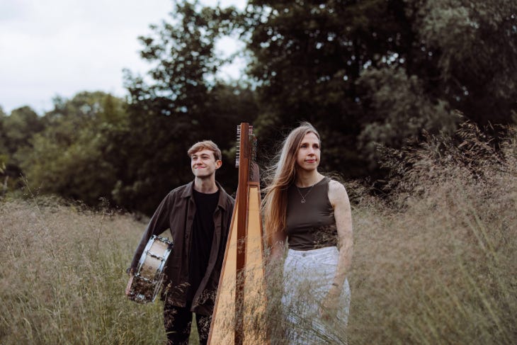 Two people and a harp in a field